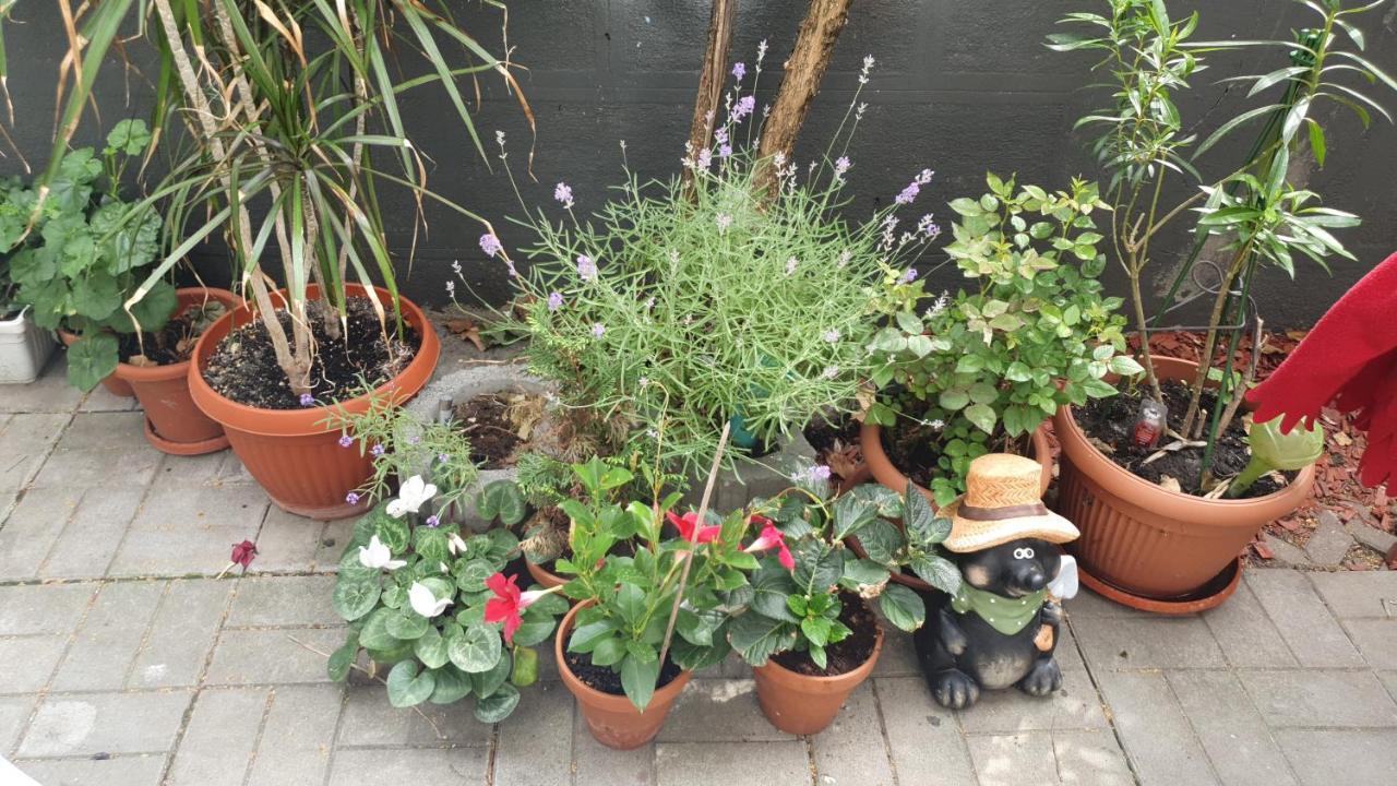 Apartamento Praga Bucarest